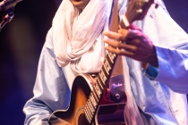 Bombino5