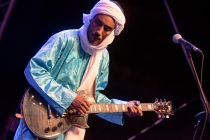 Bombino6