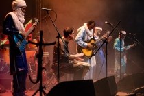 Bombino 11