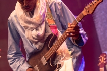 Bombino 13