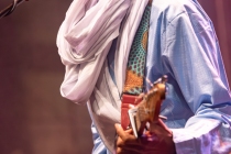 Bombino 17