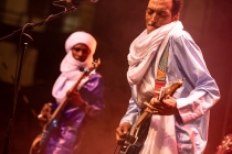 Bombino 21